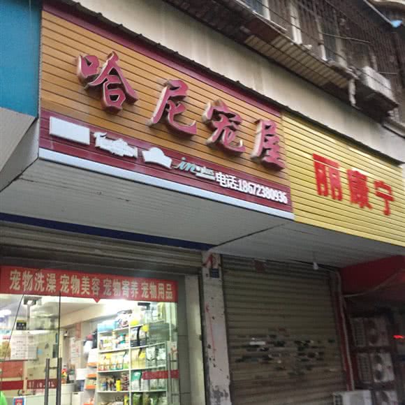 穆尔宠屋:武汉市汉阳区王家湾附近