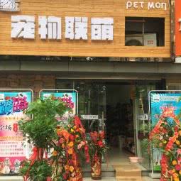 狗狗联萌生活馆:武汉市汉阳区鹦鹉大道附近