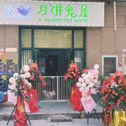 月饼宠屋:武汉市汉阳区鹦鹉大道附近