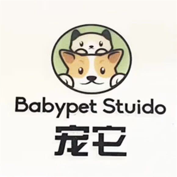 宠它宠物·ISB伊珊娜毛皮调理中心:武汉市汉阳区四新附近