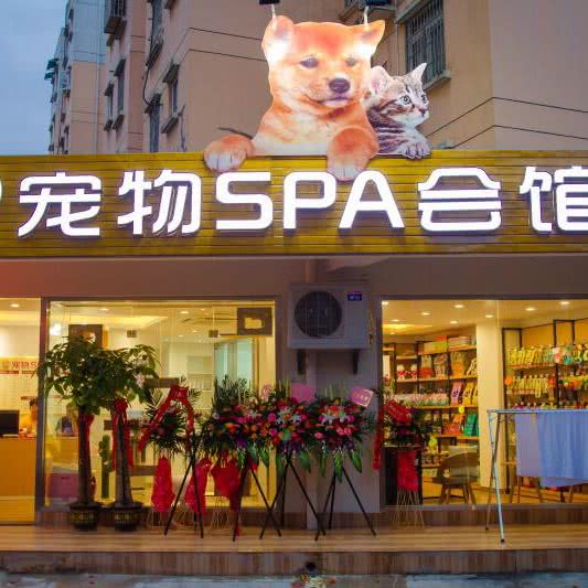 八公宠物SPA会馆:武汉市武昌区石牌岭/街道口附近