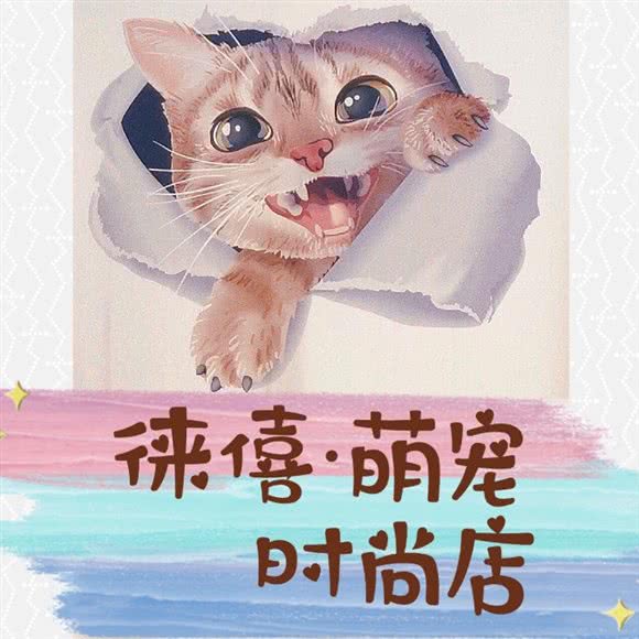 徕僖萌宠:武汉市武昌区石牌岭/街道口附近
