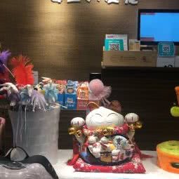 女王的爱宠(百瑞景店):武汉市武昌区石牌岭/街道口附近