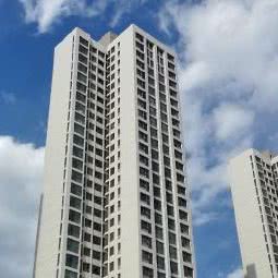 大圆宠物:天津城区红桥区芥园道/复兴路附近