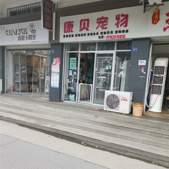 康贝宠物:武汉市武昌区徐东大街附近