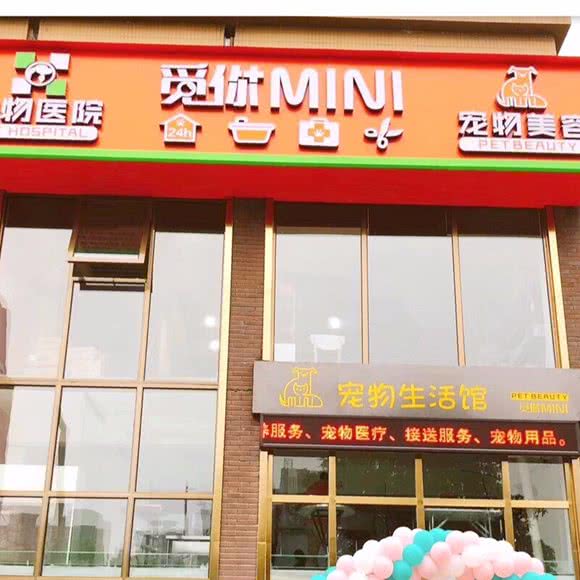 觅宠养护会所(万科金域华府店):武汉市武昌区徐东大街附近