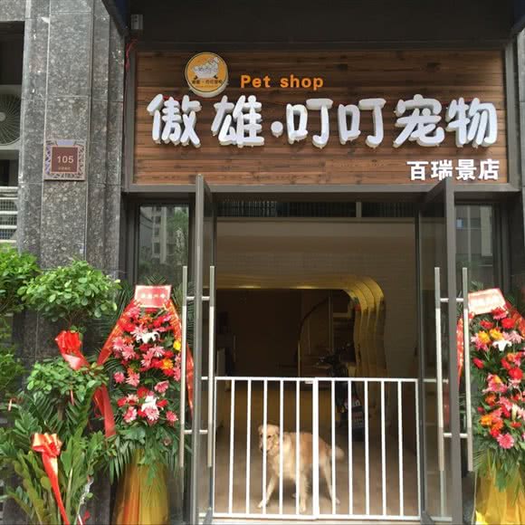 傲雄叮叮宠物(百瑞景店):武汉市武昌区丁字桥/石牌岭附近