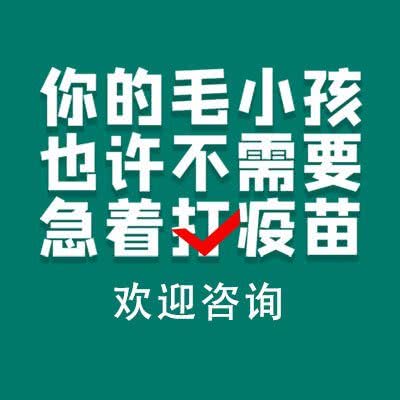 科道动物医院(丁字桥店):武汉市武昌区丁字桥/石牌岭附近