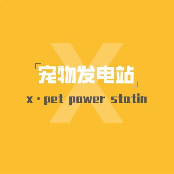 x宠物发电站?猫舍?犬舍(中南店):武汉市武昌区中南路/洪山广场附近