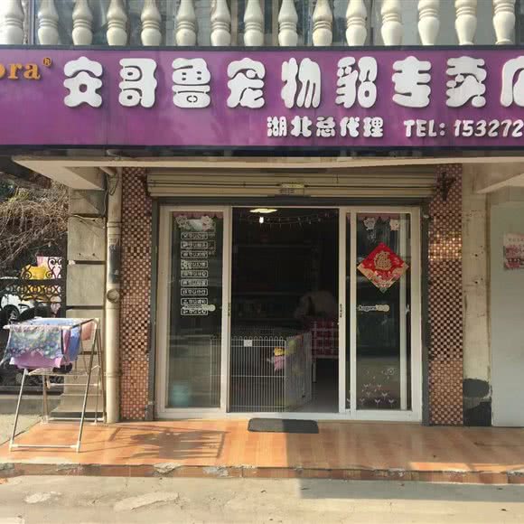 Angora安哥鲁宠物貂专卖店(东湖景园店):武汉市武昌区余家头/四美塘附近