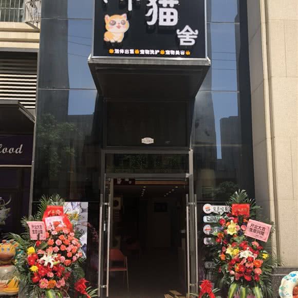 一个猫舍宠物店:武汉市武昌区余家头/四美塘附近
