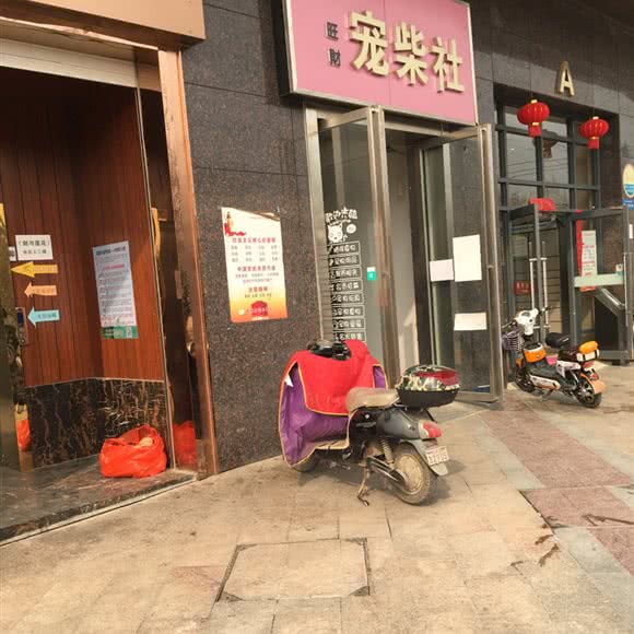 旺财宠柴社:武汉市武昌区首义汇/阅马场附近