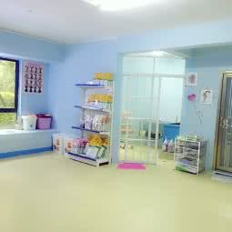 宜家宠物工作室:武汉市青山区众圆广场附近