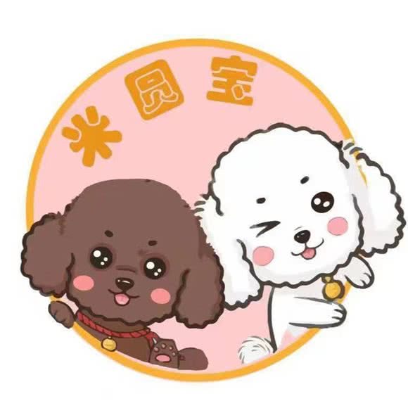 米圆宝宠物店(千吉花园店):天津城区红桥区三条石附近