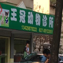 王冠动物康复中心(钢都125街店):武汉市青山区奥山/钢都花园附近