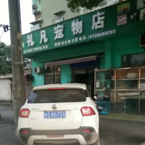 礼凡宠物店:武汉市青山区武钢厂区/武东附近