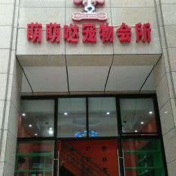 宠乐窝宠物会所:武汉市洪山区光谷/鲁巷附近