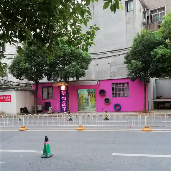 宠物狗盒子:武汉市洪山区光谷/鲁巷附近