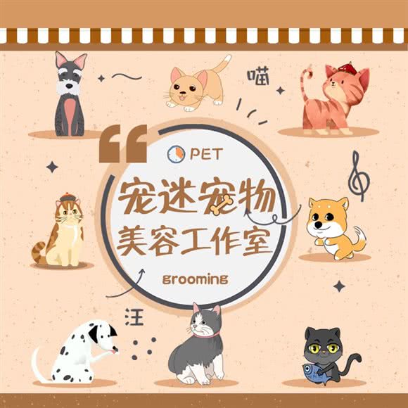 宠迷 宠物美容工作室:武汉市洪山区光谷/鲁巷附近