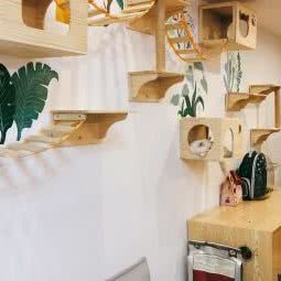 咪咕猫舍:武汉市洪山区光谷/鲁巷附近