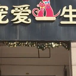 宠爱一生:武汉市洪山区雄楚大道附近