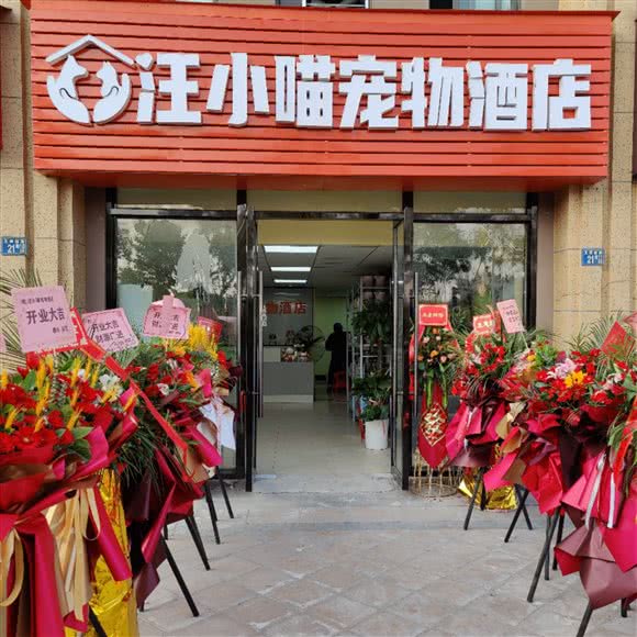 汪小喵宠物餐厅:武汉市洪山区南湖花园附近
