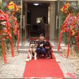 豆叮萌宠宠物美容生活馆:天津城区东丽区程林附近