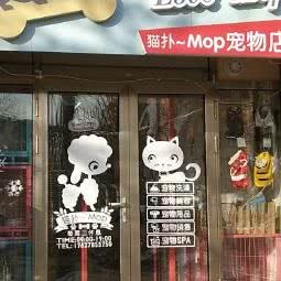 猫扑Mop宠物店:天津城区东丽区程林附近