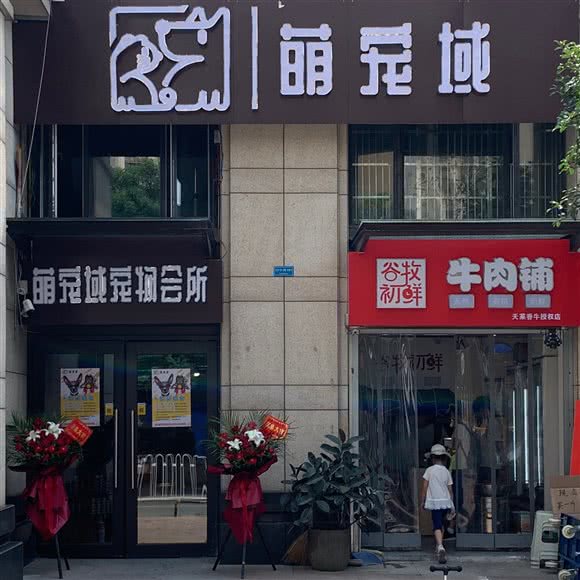 萌宠域狗狗会所:武汉市洪山区白沙洲附近