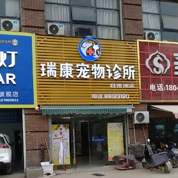 瑞康宠物诊所(白沙洲):武汉市洪山区白沙洲附近