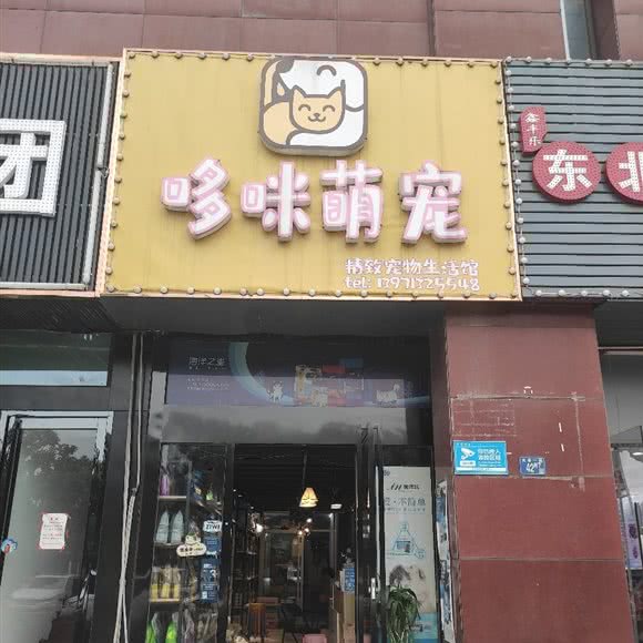 哆咪萌宠:武汉市洪山区光谷/东湖高新区附近
