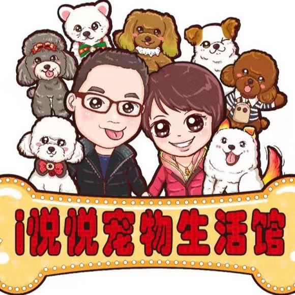i悦悦宠物生活馆(河东店):天津城区东丽区程林附近