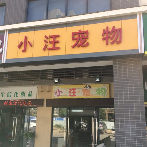 小汪宠物:武汉市洪山区珞狮南路附近