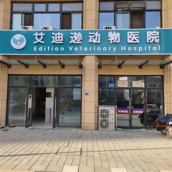 艾迪逊动物医院:武汉市东西湖区金银湖附近