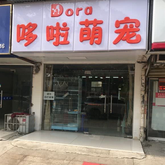 哆啦萌宠:武汉市东西湖区常青花园附近