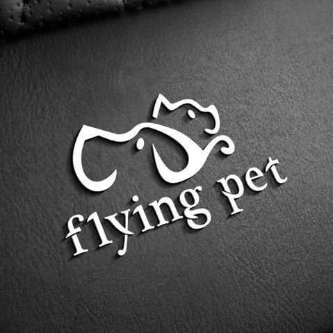 Flying pet 飞翔宠物:武汉市东西湖区常青花园附近