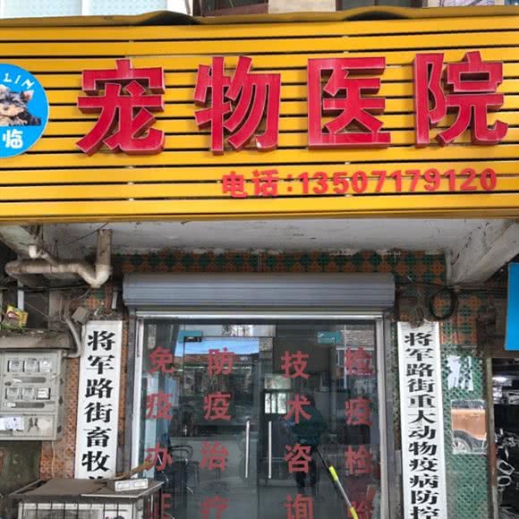 宠物医院:武汉市东西湖区常青花园附近