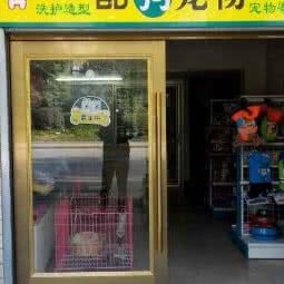 酷狗宠物:武汉市东西湖区吴家山附近