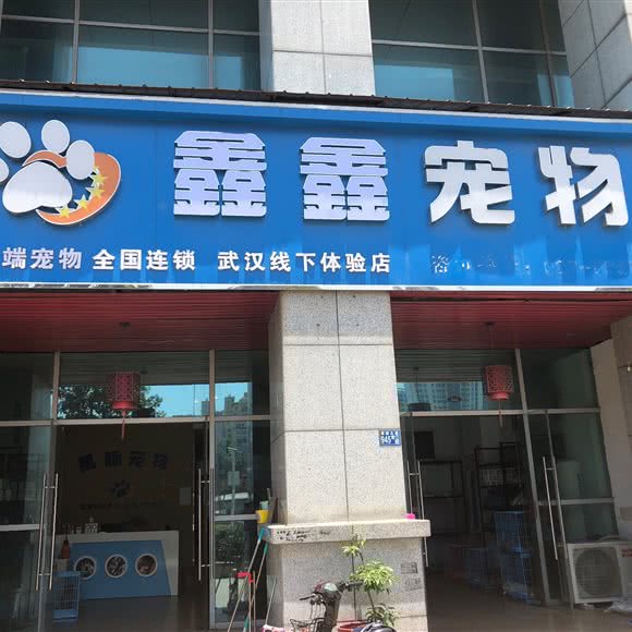 鑫鑫宠物:武汉市东西湖区吴家山附近