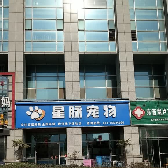 星脉宠物:武汉市东西湖区吴家山附近