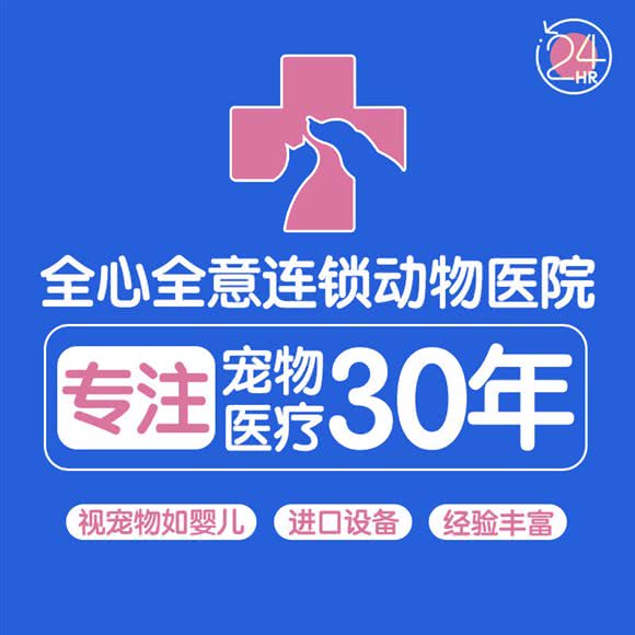 全心全意连锁动物医院(大望路分院):北京城区朝阳区劲松/潘家园附近