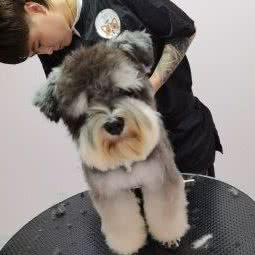 哏儿萌宠:天津城区东丽区空港/华明镇附近
