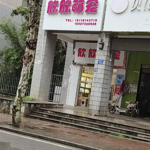 欣欣狗狗会所:武汉市江夏区藏龙岛附近
