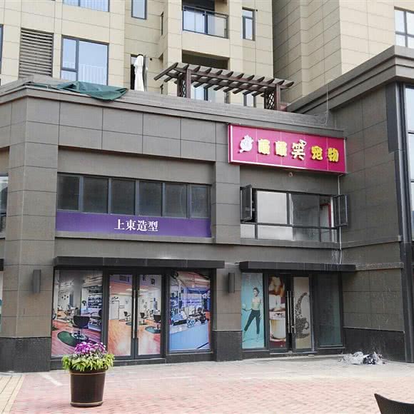 萌萌笑宠物:武汉市江夏区纸坊附近