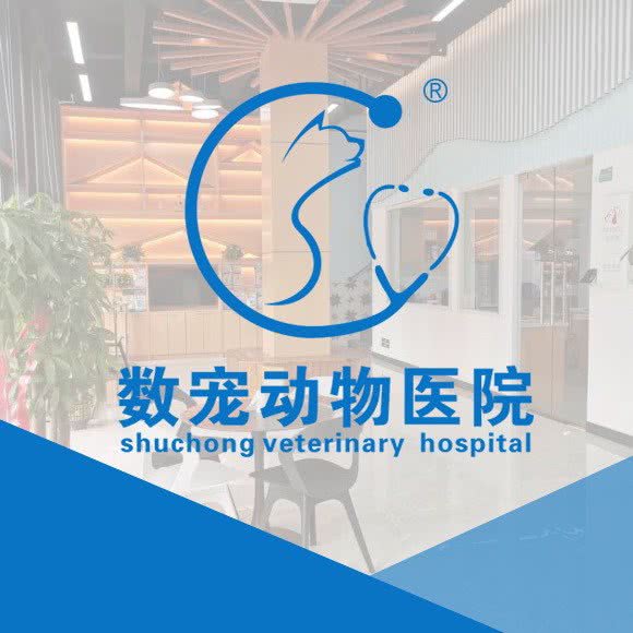 数宠动物医院:武汉市江夏区大花岭附近