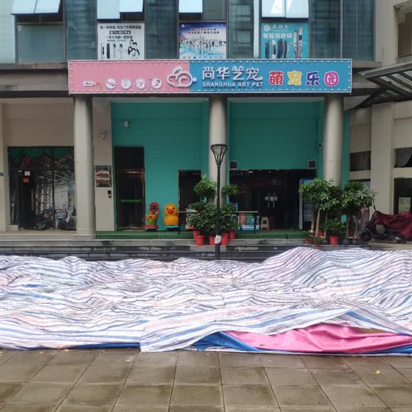 尚华艺宠萌宠乐园:武汉市新洲区新洲区附近