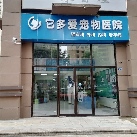 武汉它多爱宠物医院:武汉市新洲区新洲区附近