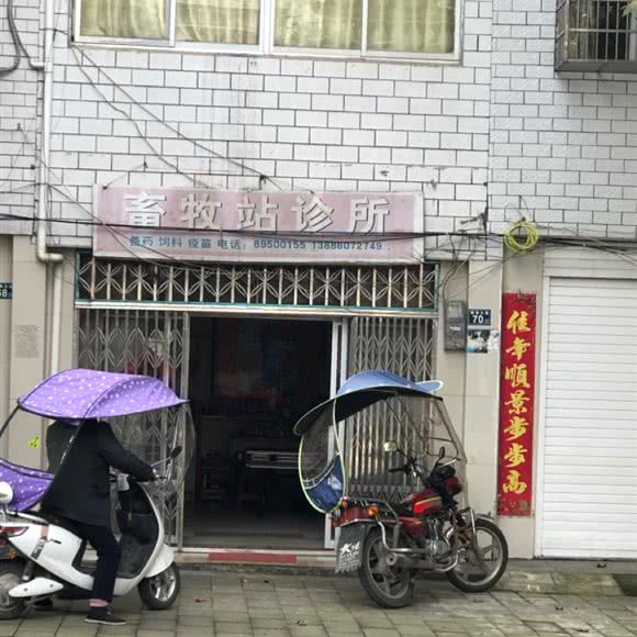 畜牧站诊所:武汉市新洲区新洲区附近