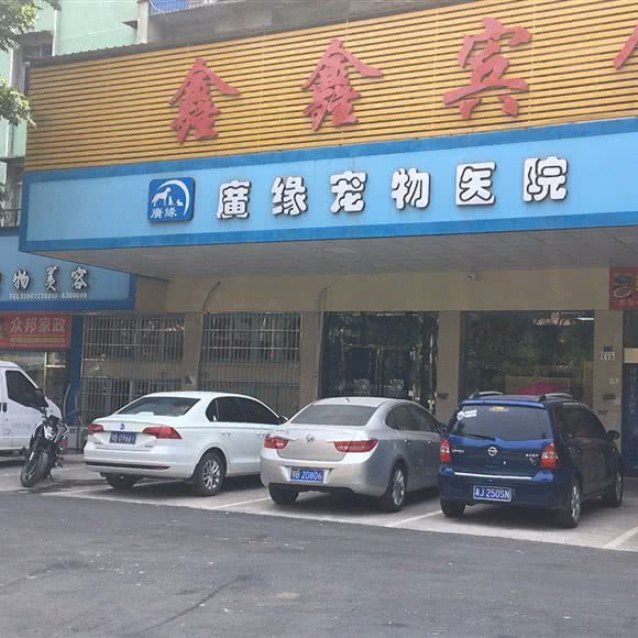 廣缘宠物医院:黄石市黄石港区南京路/步行街附近