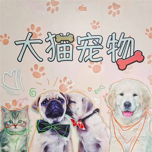 大猫宠物:黄石市黄石港区黄石大桥/万达广场附近